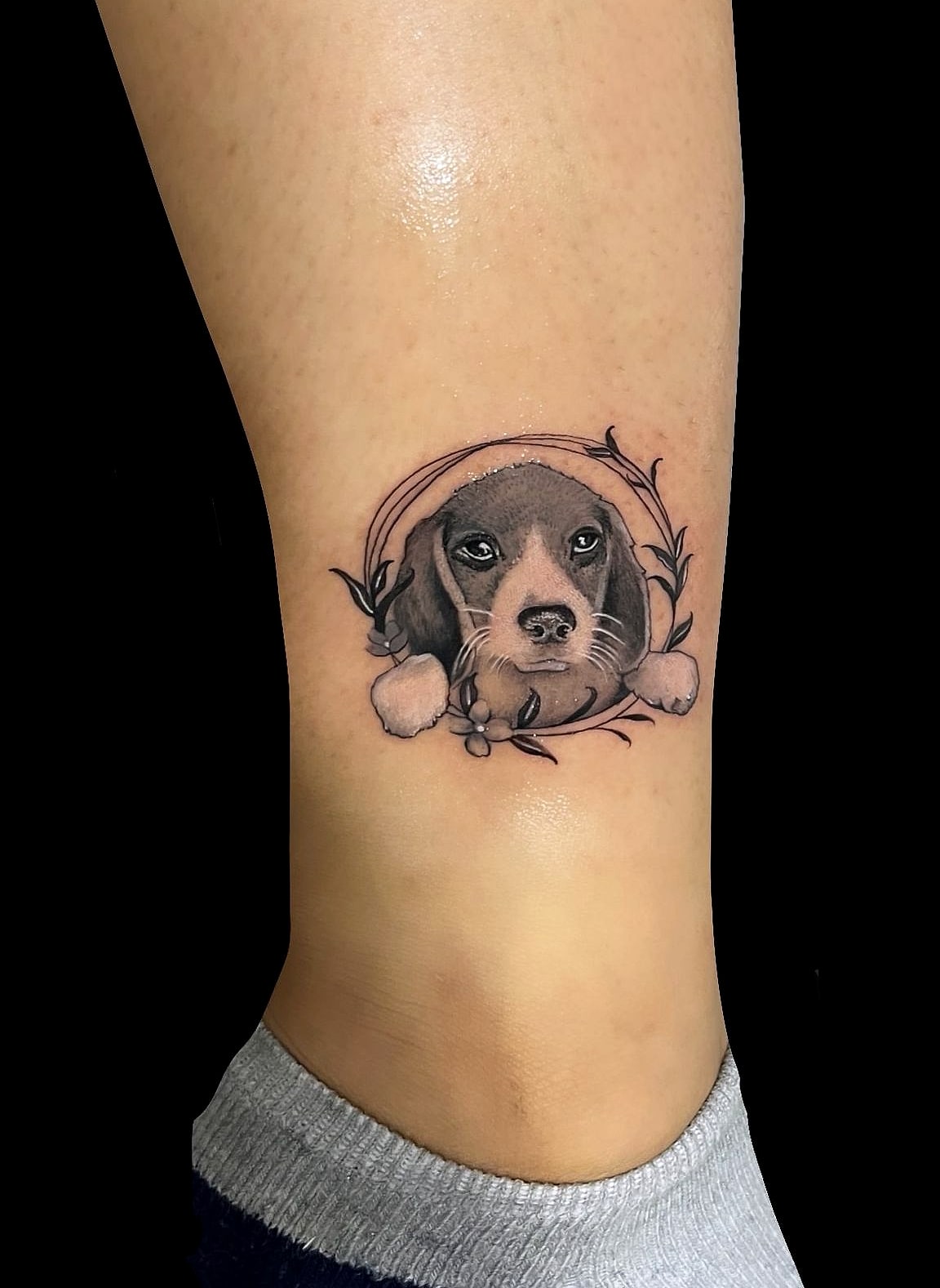 Retrato de mascota